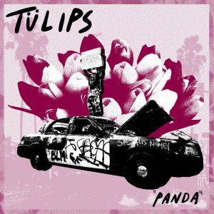 收听TÜLIPS的Panda歌词歌曲