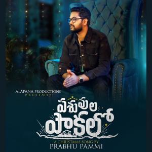 收听Prabhu Pammi的Pasuvula Pakalo歌词歌曲