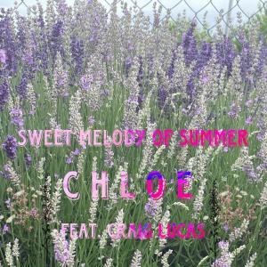Craig Lucas的專輯Sweet Melody of Summer (feat. Craig Lucas)