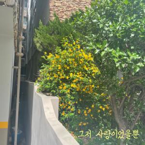 김어진的專輯그저 사랑이었을 뿐