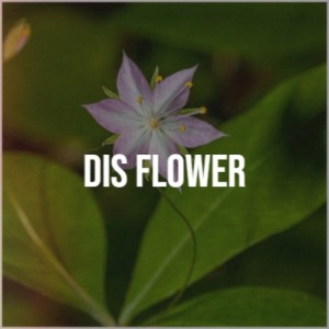 收听Georges Bize的Dis Flower歌词歌曲