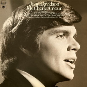 收聽John Davidson的The Windmills of Your Mind歌詞歌曲