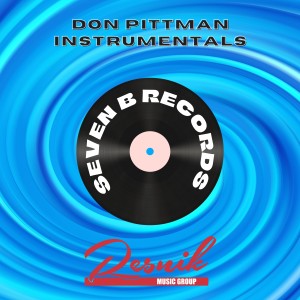 收聽Don Pittman的Snow Bird歌詞歌曲