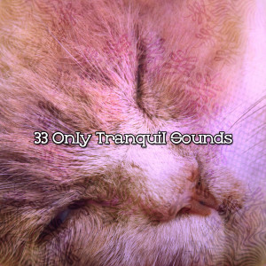 33 Only Tranquil Sounds dari Mother Nature Sound FX