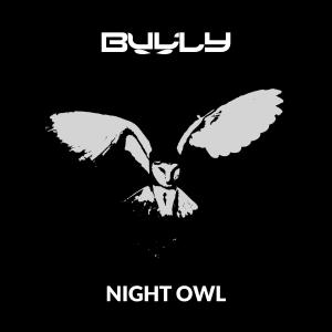 收聽Bully的Night Owl歌詞歌曲