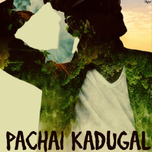 Album Pachai Kadugal from Amfer