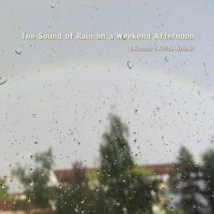 Album The Sound of Rain on a Weekend Afternoon from J.Roomy (White Noise)