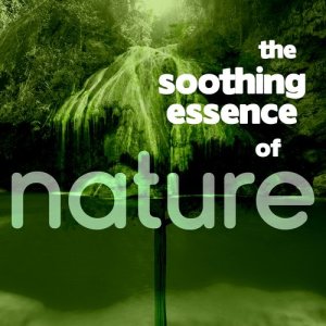 ดาวน์โหลดและฟังเพลง Soothing Wind พร้อมเนื้อเพลงจาก Deep Sleep Nature Sounds
