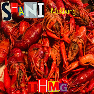 Listen to Mukbang song with lyrics from Shani