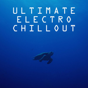 อัลบัม Ultimate Electro Chillout...Ultimate Chillout Sound for Healing and Meditation. ศิลปิน HANI