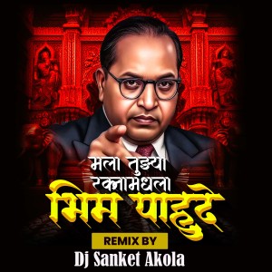 Album Mala Tuzya Raktamadhla Bhim Pahude (Dj Sanket Akola) from Dhamma Dhanve
