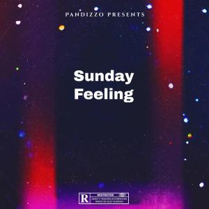 PANDIZZO的專輯Sunday Feeling