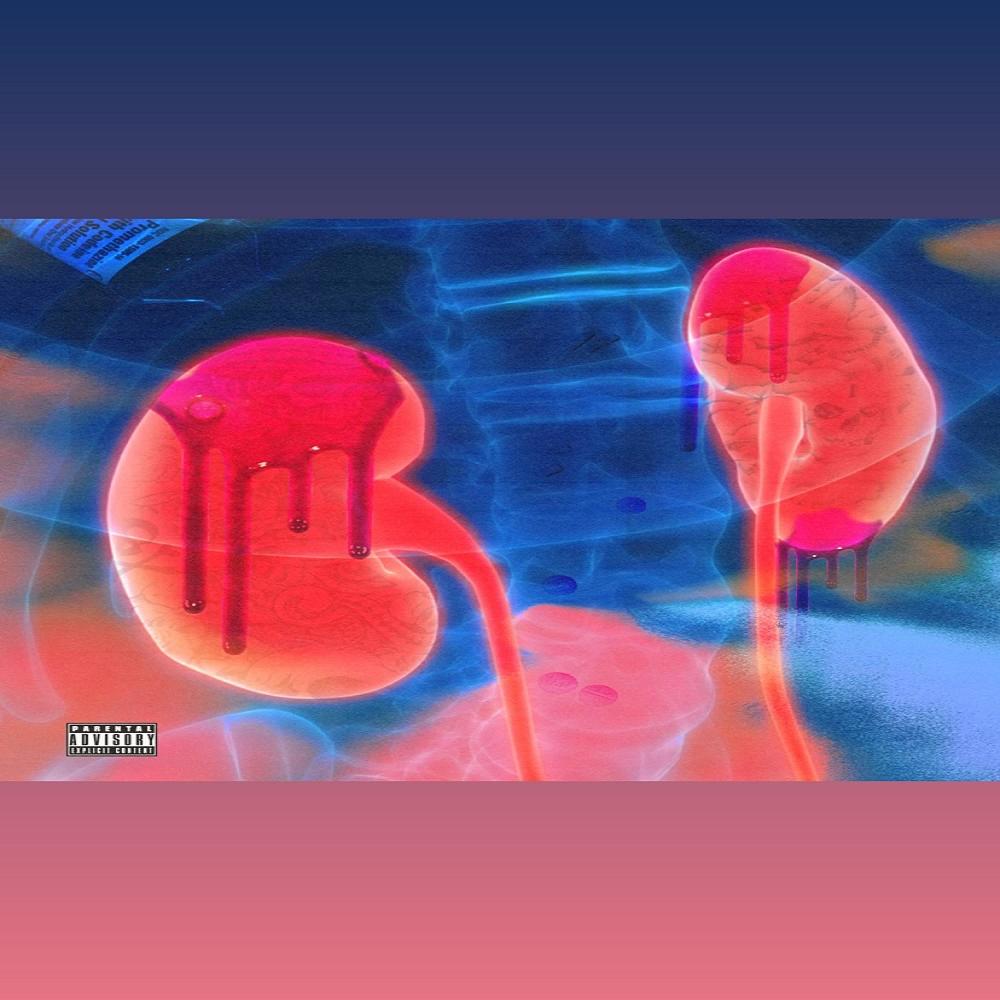KIlling my Kidneys (Explicit)