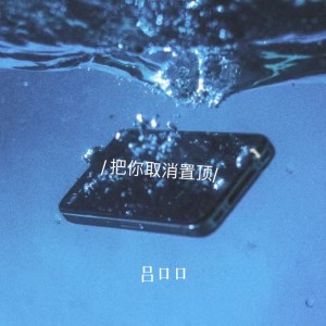 Listen to 把你取消置顶 (完整版) song with lyrics from 吕口口