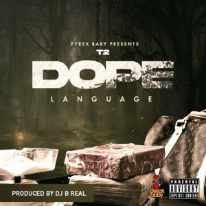 Listen to Dope Language (Explicit) song with lyrics from T2