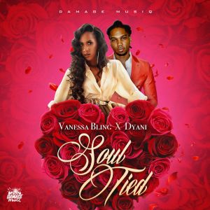 Vanessa Bling的专辑Soul Tied (Explicit)