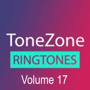 Sunfly的專輯Tonezone, Vol. 17 (Explicit)