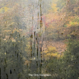 收听Katelyn Tarver的The Only Exception歌词歌曲