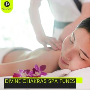 Album Divine Chakras Spa Tunes from Various