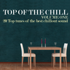 Various Artists的專輯Top of the Chill, Vol. 1 (20 Top Tunes of the Best Chillout Sound)