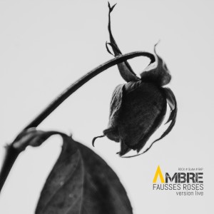 Ambre的專輯Fausses roses (Version Live) (Explicit)