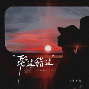 廖不起的专辑爱过错过