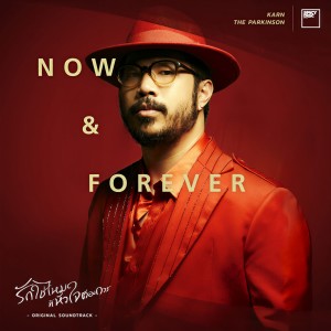ดาวน์โหลดและฟังเพลง NOW AND FOREVER (From "I Need Romance รักใช่ไหมที่หัวใจต้องการ Series") พร้อมเนื้อเพลงจาก Karn The Parkinson