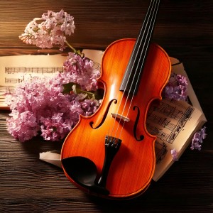 อัลบัม Spa Orchestra Music: Harmonies for Deep Relaxation ศิลปิน Colorful Souls