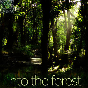 ดาวน์โหลดและฟังเพลง One Hour Forest Relaxation พร้อมเนื้อเพลงจาก The Relaxitones