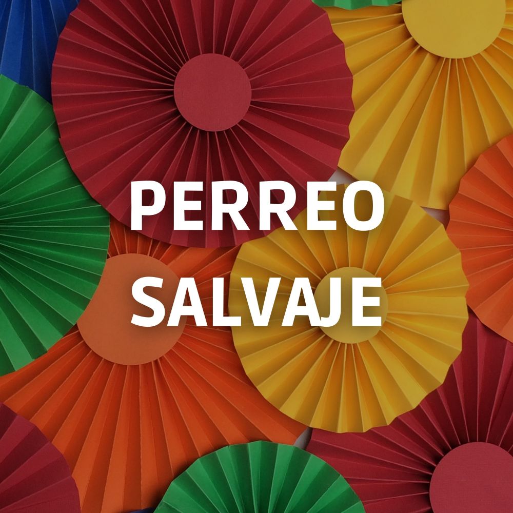 Perreo Salvaje