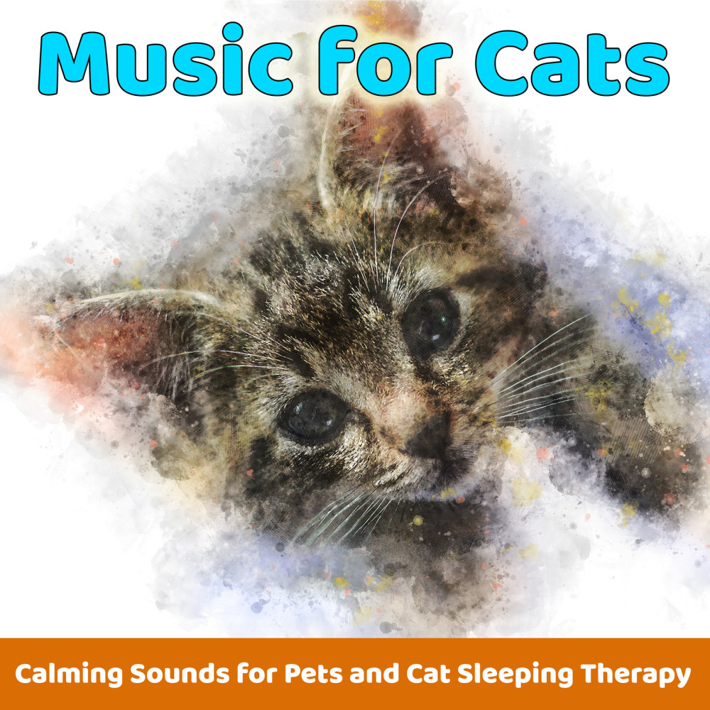 Cat Music