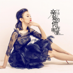 Listen to 亲爱的你在哪里 (伴奏) song with lyrics from 丁可