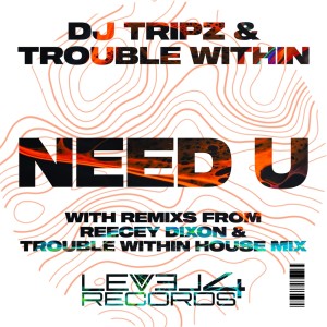 收聽DJ TRIPZ的Need U (Reecey Dixon Remix)歌詞歌曲