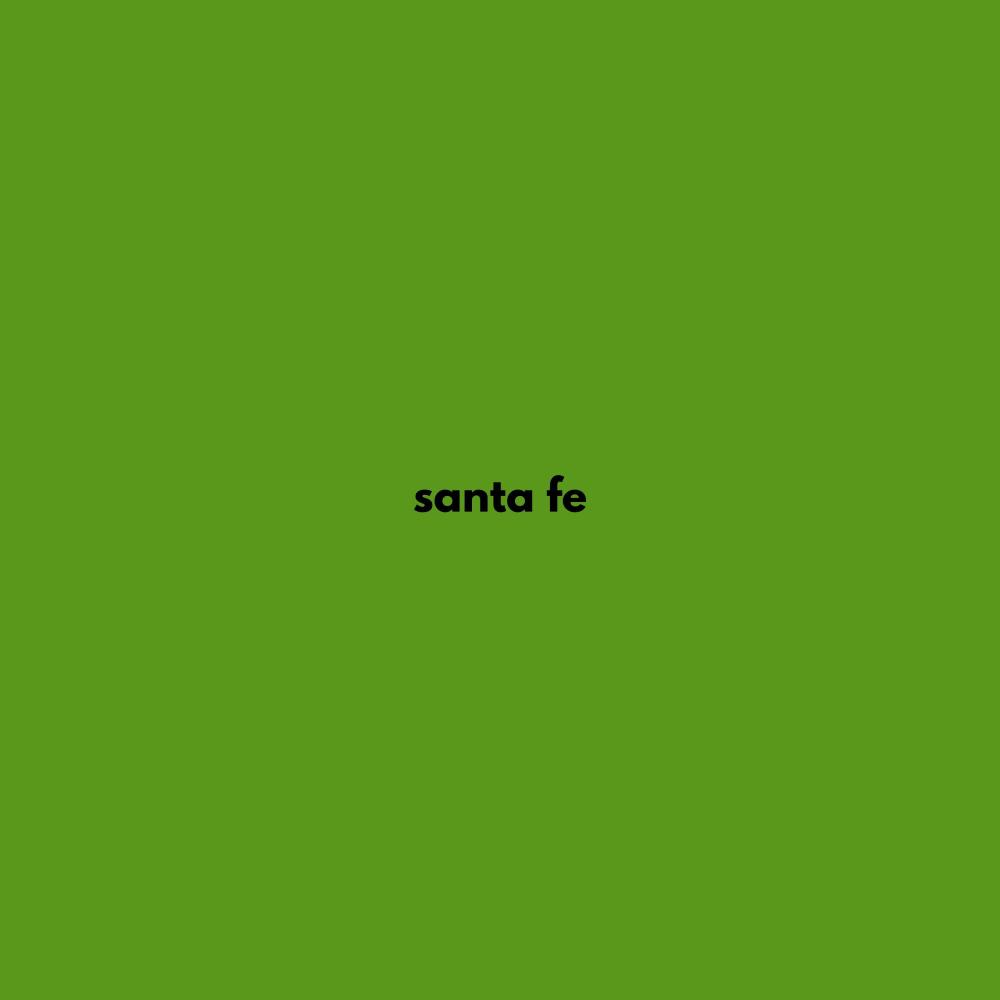 Santa Fe (feat. MC Felipinho) (Explicit)