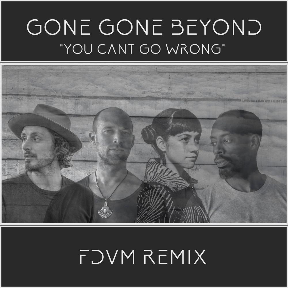 You Can't Go Wrong (Fdvm Remix)