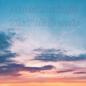 Listen to Mood Swings TikTok Remix song with lyrics from DJ Fle