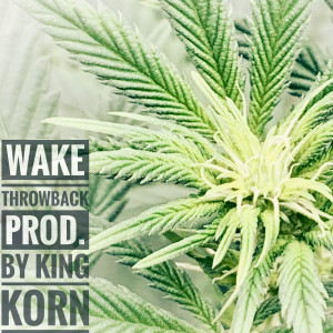 Listen to Wake (Explicit) song with lyrics from ThrowBack