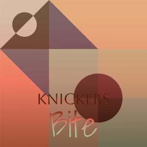 Various Artists的專輯Knickers Bite