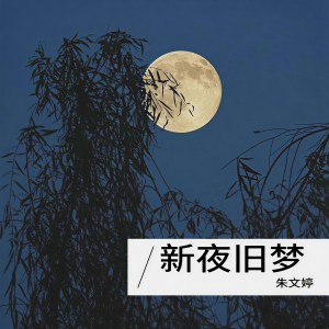 อัลบัม 新夜旧梦 ศิลปิน 朱文婷