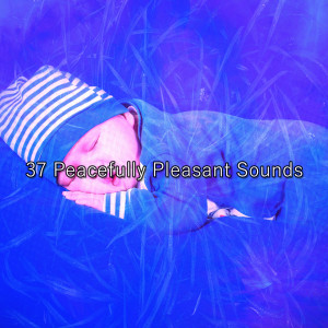 Album 37 Peacefully Pleasant Sounds oleh Baby Sleep Music