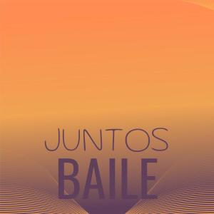 Various的专辑Juntos Baile