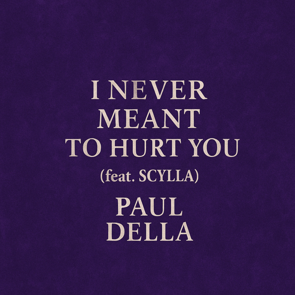 I Never Meant to Hurt You