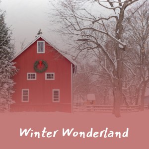 Listen to Tennessee Waltz song with lyrics from Four Jacks