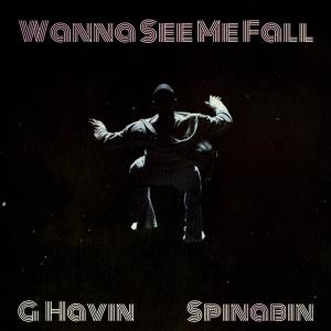 Spinabin的專輯Wanna See Me Fall (feat. Spinabin) [Explicit]