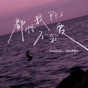 Album 都怪我不会爱pt.2 from REX邓棋文