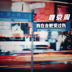 Listen to 我在合肥受过伤 (完整版) song with lyrics from 鹿京周