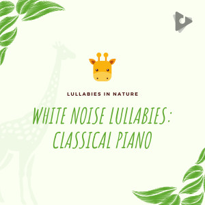 Lullabies In Nature的專輯White Noise Lullabies: Classical Piano