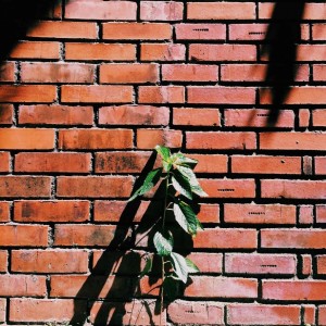 Dengarkan lagu Gomen nyanyian Moons That Scar dengan lirik