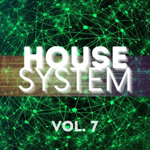 Listen to Silicon Valley (Majestic Mix) song with lyrics from Fresh Boner