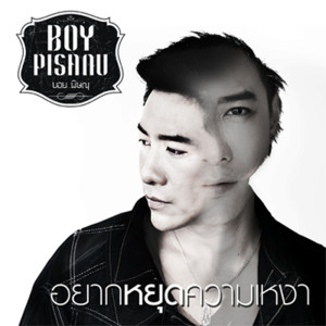 ดาวน์โหลดและฟังเพลง อยากหยุดความเหงา พร้อมเนื้อเพลงจาก บอย พิษณุ